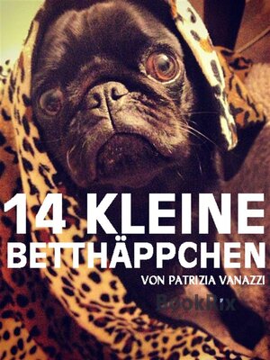 cover image of 14 kleine Betthäppchen